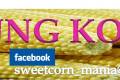kamia adalah produsen, agen, suplier, distributor utama jagung manis pipilan terbaik saat ini